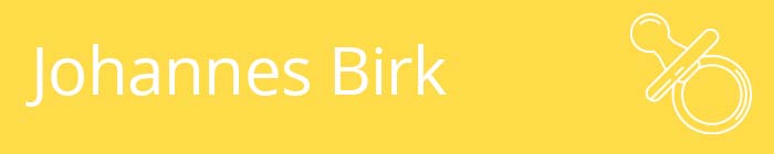 Johannes Birk