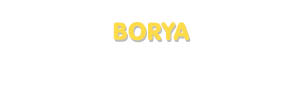 Der Vorname Borya