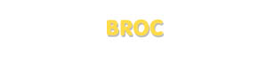 Der Vorname Broc