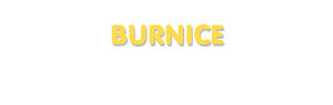 Der Vorname Burnice