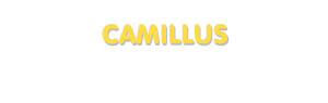 Der Vorname Camillus