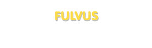 Der Vorname Fulvus