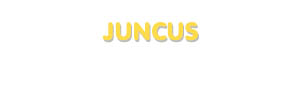 Der Vorname Juncus