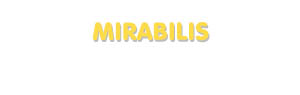 Der Vorname Mirabilis