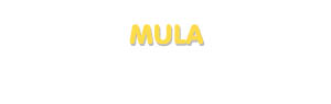Der Vorname Mula