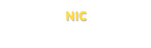 Der Vorname Nic