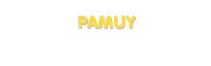 Der Vorname Pamuy