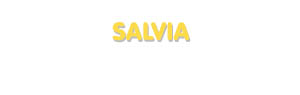 Der Vorname Salvia