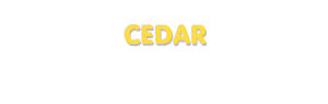 Der Vorname Cedar