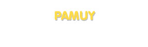 Der Vorname Pamuy