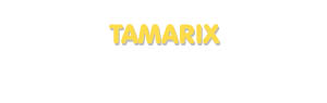 Der Vorname Tamarix